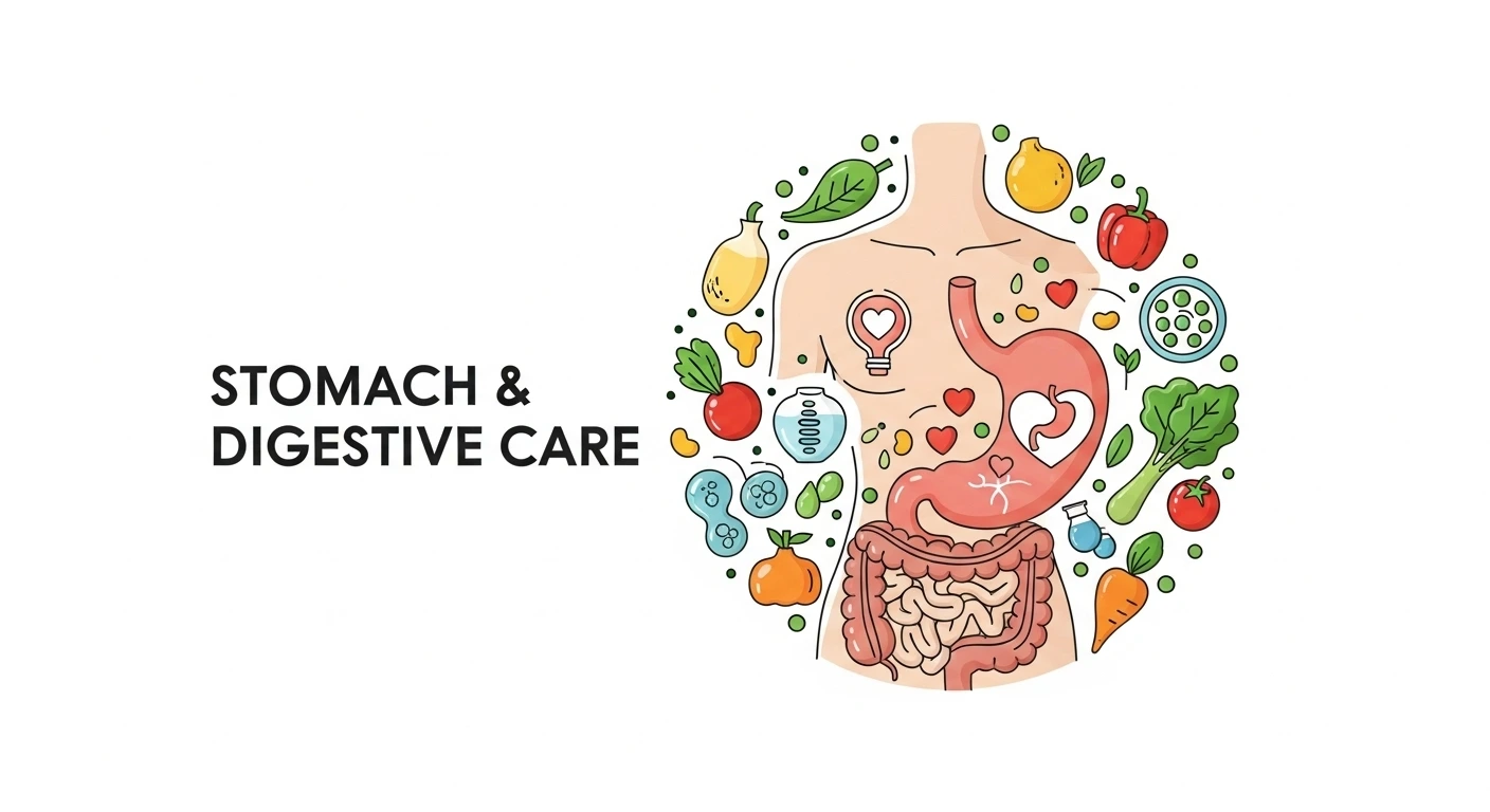 Slide image showing Stomach